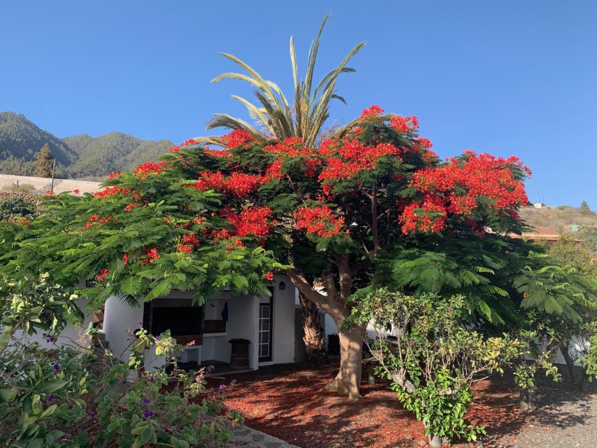 Casitas Rosheli Apartamento Los Llanos De Aridane Exterior foto