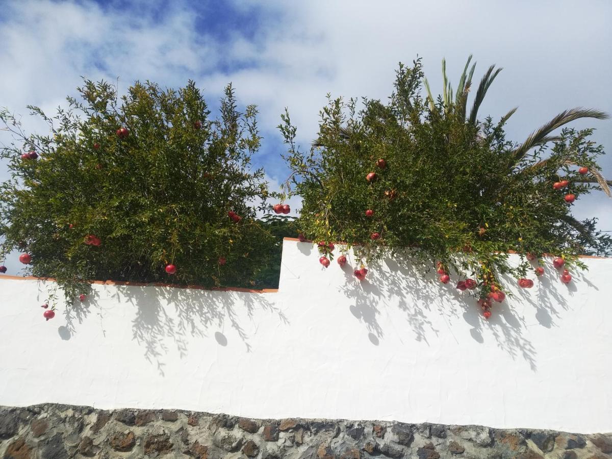 Casitas Rosheli Apartamento Los Llanos De Aridane Exterior foto